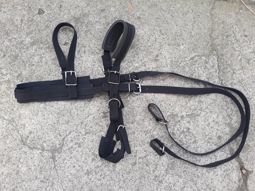 Harnais simple