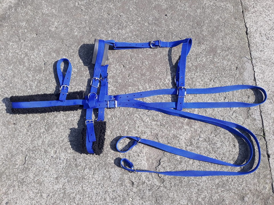 Harnais avec reculement