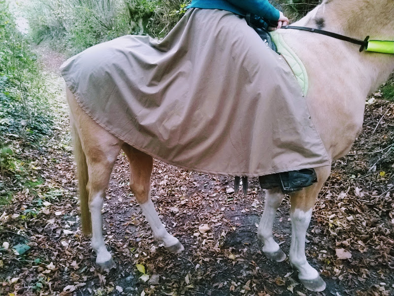Modèle long en coton huilé