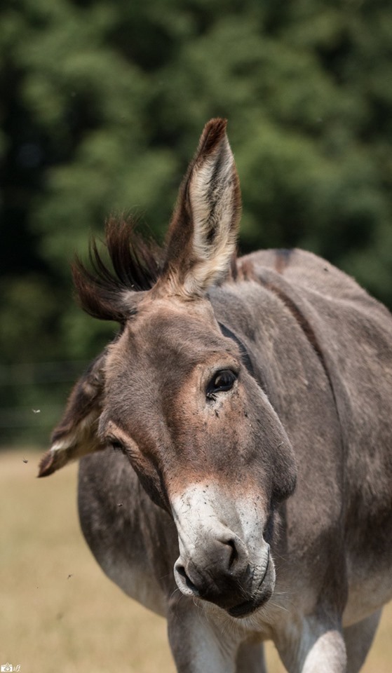 Crédit photo: Vero's Photos