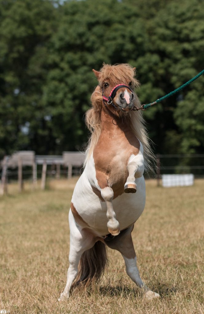 Crédit photo: Vero's Photos