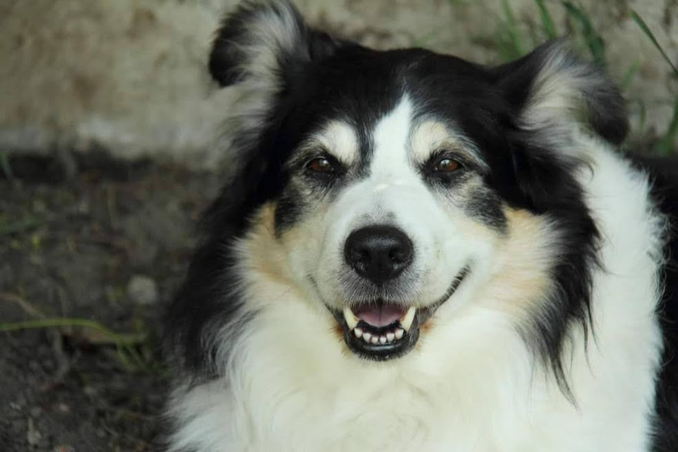 Crédit photo: Vero's Photos